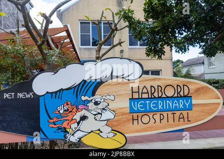 Harbord Veterinärkrankenhaus für Haustiere, Süßwasser, Sydney, NSW, Australien Surfbrett Schild mit Hund verbunden Stockfoto