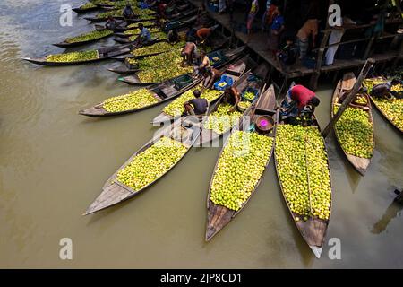 Barisal, Barisal, Bangladesch. 16. August 2022. Ein schwimmender Guava-Markt im südlichen Barisal-Viertel des Landes, bekannt als ''das Venedig von Bengalen''', ist jetzt mit Käufern und Verkäufern in Swarupkathi, Barisal, Bangladesch, überfüllt, da die Ernte der Guava auf dem Höhepunkt ist. Es gibt Hunderte von Booten, die mit Guava gefüllt sind, und alle Geschäfte finden auf Booten statt. Die Guavas werden in Obstgärten angebaut, die entlang des Flusses liegen und mit Booten zum Markt transportiert werden, da der Einsatz von Booten die Transportkosten für die Bauern senkt. Barisal ist vor allem für Guava bekannt, der liebevoll 'Apfel von Bengalen' genannt wird. Um 1 Stockfoto