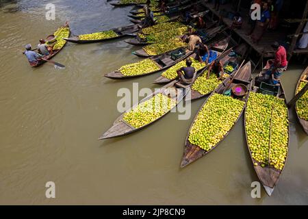 Barisal, Barisal, Bangladesch. 16. August 2022. Ein schwimmender Guava-Markt im südlichen Barisal-Viertel des Landes, bekannt als ''das Venedig von Bengalen''', ist jetzt mit Käufern und Verkäufern in Swarupkathi, Barisal, Bangladesch, überfüllt, da die Ernte der Guava auf dem Höhepunkt ist. Es gibt Hunderte von Booten, die mit Guava gefüllt sind, und alle Geschäfte finden auf Booten statt. Die Guavas werden in Obstgärten angebaut, die entlang des Flusses liegen und mit Booten zum Markt transportiert werden, da der Einsatz von Booten die Transportkosten für die Bauern senkt. Barisal ist vor allem für Guava bekannt, der liebevoll 'Apfel von Bengalen' genannt wird. Um 1 Stockfoto