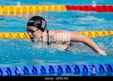 ROM, ITALIEN - 16. AUGUST: Keanna MacInnes aus England während des Schmetterlings der Frauen 200m beim European Aquatics Roma 2022 im Stadio del Nuoto am 16. August 2022 in Rom, Italien (Foto: Nikola Krstic/Orange Picles) Stockfoto