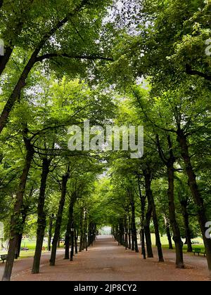 Humlegården [ Humlegarden ] ist ein wichtiger Park im Stadtteil Östermalm in Stockholm, Schweden. Der Park grenzt im Norden an Karlavägen, Söregatan Stockfoto