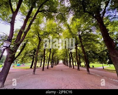 Humlegården [ Humlegarden ] ist ein wichtiger Park im Stadtteil Östermalm in Stockholm, Schweden. Der Park grenzt im Norden an Karlavägen, Söregatan Stockfoto