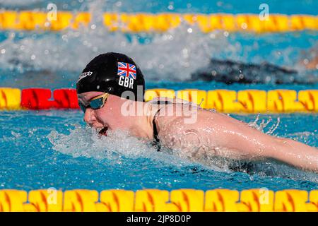 ROM, ITALIEN - 16. AUGUST: Laura Kathleen Stephens aus England während des Schmetterlings der Frauen 200m beim European Aquatics Roma 2022 im Stadio del Nuoto am 16. August 2022 in Rom, Italien (Foto: Nikola Krstic/Orange Picles) Stockfoto