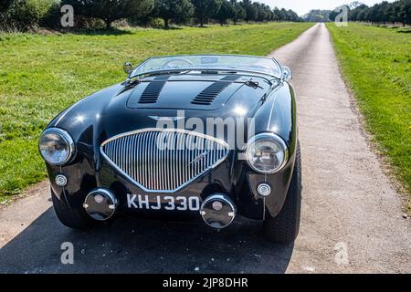 Klassischer Sportwagen. Eine 1955 Austin Healey 100 „M“-Spezifikation mit heruntergeklappter Windschutzscheibe, die die Aerodynamik verbessert. Preston Candover, Großbritannien Stockfoto