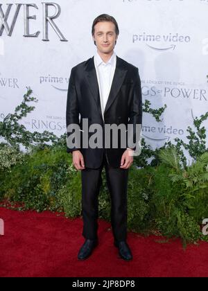 15. August 2022, Culver City, Kalifornien, USA: Leon Wadham nimmt an der Los Angeles Premiere von Amazon Prime Video's ''der Herr der Ringe: Die Ringe der Macht' Teil (Bildquelle: © Billy Bennight/ZUMA Press Wire) Stockfoto