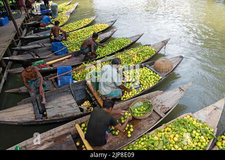 Barisal, Barisal, Bangladesch. 16. August 2022. Ein schwimmender Guava-Markt im südlichen Barisal-Viertel des Landes, bekannt als ''das Venedig von Bengalen''', ist jetzt mit Käufern und Verkäufern in Swarupkathi, Barisal, Bangladesch, überfüllt, da die Ernte der Guava auf dem Höhepunkt ist. Es gibt Hunderte von Booten, die mit Guava gefüllt sind, und alle Geschäfte finden auf Booten statt. Die Guavas werden in Obstgärten angebaut, die entlang des Flusses liegen und mit Booten zum Markt transportiert werden, da der Einsatz von Booten die Transportkosten für die Bauern senkt. Barisal ist vor allem für Guava bekannt, der liebevoll 'Apfel von Bengalen' genannt wird. Um 1 Stockfoto