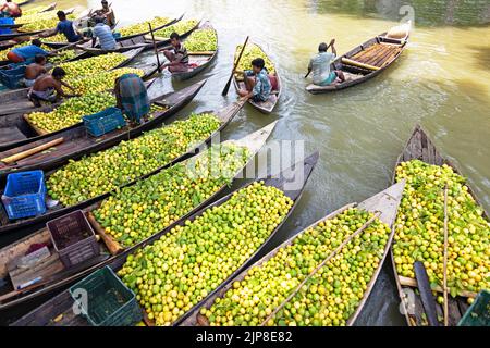 Barisal, Barisal, Bangladesch. 16. August 2022. Ein schwimmender Guava-Markt im südlichen Barisal-Viertel des Landes, bekannt als ''das Venedig von Bengalen''', ist jetzt mit Käufern und Verkäufern in Swarupkathi, Barisal, Bangladesch, überfüllt, da die Ernte der Guava auf dem Höhepunkt ist. Es gibt Hunderte von Booten, die mit Guava gefüllt sind, und alle Geschäfte finden auf Booten statt. Die Guavas werden in Obstgärten angebaut, die entlang des Flusses liegen und mit Booten zum Markt transportiert werden, da der Einsatz von Booten die Transportkosten für die Bauern senkt. Barisal ist vor allem für Guava bekannt, der liebevoll 'Apfel von Bengalen' genannt wird. Um 1 Stockfoto