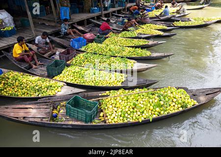 Barisal, Barisal, Bangladesch. 16. August 2022. Ein schwimmender Guava-Markt im südlichen Barisal-Viertel des Landes, bekannt als ''das Venedig von Bengalen''', ist jetzt mit Käufern und Verkäufern in Swarupkathi, Barisal, Bangladesch, überfüllt, da die Ernte der Guava auf dem Höhepunkt ist. Es gibt Hunderte von Booten, die mit Guava gefüllt sind, und alle Geschäfte finden auf Booten statt. Die Guavas werden in Obstgärten angebaut, die entlang des Flusses liegen und mit Booten zum Markt transportiert werden, da der Einsatz von Booten die Transportkosten für die Bauern senkt. Barisal ist vor allem für Guava bekannt, der liebevoll 'Apfel von Bengalen' genannt wird. Um 1 Stockfoto