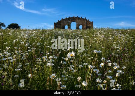 Rousham Folly (Blickfang) im Turm Aston , Oxfordshire Stockfoto