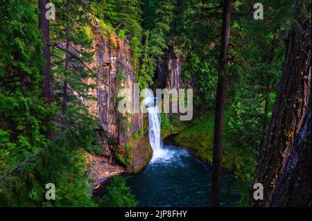 Toketee Falls in Douglas County, Oregon Stockfoto