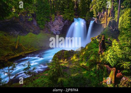 Sahalie Falls am McKenzie River im Willamette National Forest, Oregon Stockfoto