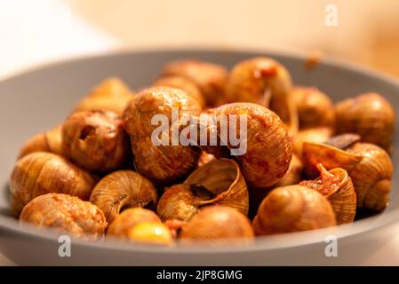 Waldschnecken, gekocht mit Tomatensauce. Leckeres, schlechtes Gericht, typisch für Südeuropa, mit Escargot (Helix aspersa), zubereitet mit Tomatensauce Stockfoto