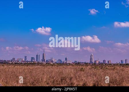 Nairobi City County Nationalpark Vögel Tiere Wildtiere Savanne Grasland Landschaften Panoramablick malerische Ausblicke magische Kenia Ostafrika Discovery Exp Stockfoto