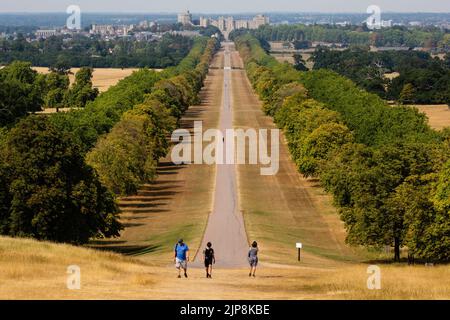 Windsor, Großbritannien. 15.. August 2022. Touristen laufen den Snow Hill im Windsor Great Park vor dem Hintergrund von sonnengebleichtem Gras entlang der langen Laufführung hinauf Stockfoto