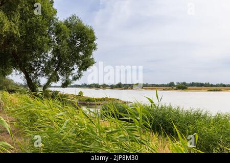 Landschaft Elbe bei Domitz an der Grenze zwischen Mecklenburg-Vorpommern und niedersachsen ehemalige innerdeutsche Grenze während des Kalten Krieges in Deutschland Stockfoto