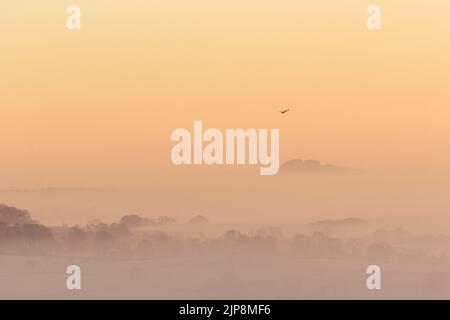 Blick auf das mit Nebel gefüllte Wharfedale Valley mit einer einzigen Gans, die durch den orangefarbenen Himmel fliegt, West Yorkshire, England. Stockfoto