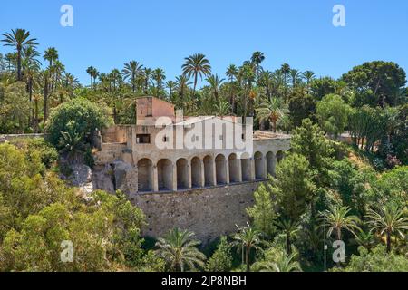 Molí del Real mit Palmen im Stadtpark in Elche. Alte Mühle aus dem 18.. Jahrhundert in der valencianischen Gemeinde, Alicante,Elche, Spanien. Stockfoto