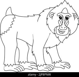 Mandrill Tier isoliert Malvorlagen für Kinder Stock Vektor