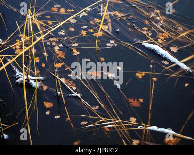 Gefrorener See und trockenes Schilf und Blätter in gefrorenem Wasser in der Wintersaison. Abstrakter natürlicher Hintergrund Stockfoto