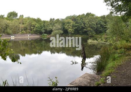 Die Szene in Stalybridge, Tameside, Greater Manchester, wo der Körper eines 14-jährigen Mädchens aus dem Wasser geborgen wurde, nachdem es am Montag kurz vor 6,30pm in Schwierigkeiten geraten war. Bilddatum: Dienstag, 16. August 2022. Stockfoto