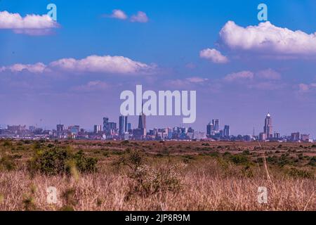 Nairobi City County Nationalpark Vögel Tiere Wildtiere Savanne Grasland Landschaften Panoramablick malerische Ausblicke magische Kenia Ostafrika Discovery Exp Stockfoto