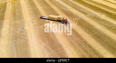 Die Verladung frisch geschnittener Ballen auf einem ländlichen Bauernhof in wisconsin Stockfoto