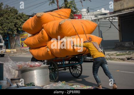 Februar 21. 2021 Dehradun Indien. Ein Arbeiter schob Stapel gebündeltes Heu, das als Viehfutter verwendet wurde, auf einen Handwagen. Stockfoto