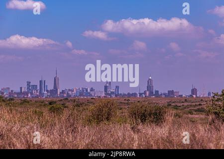 Nairobi City County Nationalpark Vögel Tiere Wildtiere Savanne Grasland Landschaften Panoramablick malerische Ausblicke magische Kenia Ostafrika Discovery Exp Stockfoto
