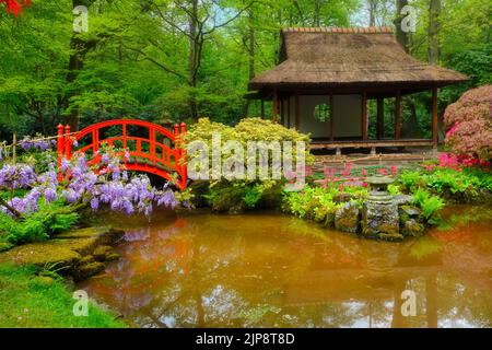 park, japanischer Garten, landgoed clingendael, Parks, Japaner, Japanischer Garten Stockfoto