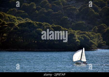 Segelboot segelt über blaues Meer an einem malerischen bewaldeten Ufer in der Nähe von Tisno, Insel Murter, in Kroatien Stockfoto