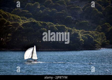 Segelboot segelt über blaues Meer an einem malerischen bewaldeten Ufer in der Nähe von Tisno, Insel Murter, in Kroatien Stockfoto