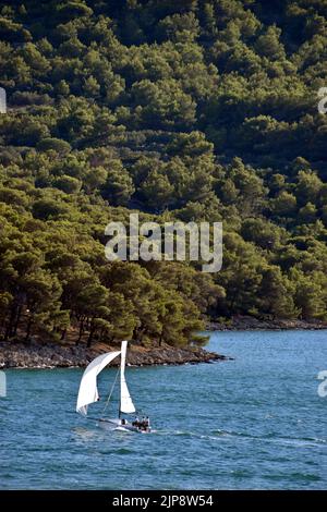 Segelboot segelt über blaues Meer an einem malerischen bewaldeten Ufer in der Nähe von Tisno, Insel Murter, in Kroatien, im vertikalen Format Stockfoto