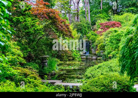 The Japanese Garden at Compton Acres Gardens, Poole, Dorset, England, Großbritannien Stockfoto