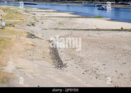 Düsseldorf, Deutschland. 16. August 2022. Schiffe fahren an trockenen Groynes auf dem Rhein vorbei. Nach wochenlanger Dürre haben die Wasserstände des Rheins historische Tiefstände erreicht. Quelle: Federico Gambarini/dpa/Alamy Live News Stockfoto