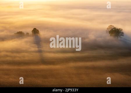 Sonnenaufgang mit Nebel auf den Feldern Stockfoto