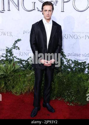 CULVER CITY, LOS ANGELES, KALIFORNIEN, USA - 15. AUGUST: Leon Wadham kommt bei der Los Angeles Premiere von Amazon Prime Video's 'der Herr der Ringe: Die Ringe der Macht' Saison 1, die am 15. August 2022 in den Culver Studios in Culver City, Los Angeles, Kalifornien, USA, stattfand. (Foto von Xavier Collin/Image Press Agency) Stockfoto