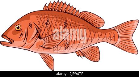 Eine Illustration eines roten Fisches, isoliert auf weißem Hintergrund Stock Vektor