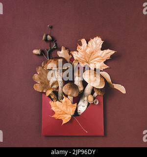 Pilze und trockene Blätter umhüllen auf dunkelbraunem Hintergrund. Herbsterntekonzept. Stockfoto