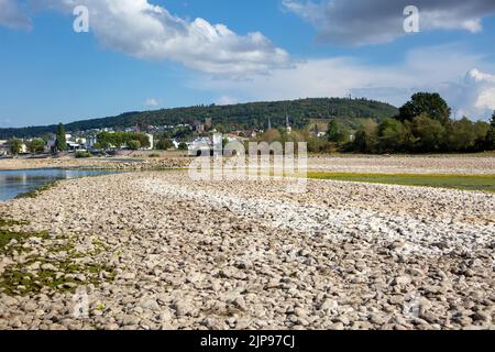 Ausgetrocknetes Flussbett des Rheins in der Nähe des Zusammenflusses von nahe und Rhein bei Bingen, Deutschland - sichtbare Felsen und Sandbeine aufgrund des außergewöhnlich niedrigen Wasserstandes nach einer langen Dürreperiode im August 2022. Stockfoto