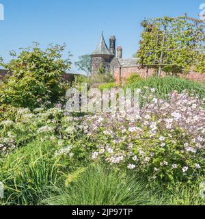 In den ummauerten Gärten mit erstaunlichen Ausstellungen in den Gärten der RHS Royal Horticultural Society in Bridgewater, Salford, Great Manchester (August 2022). Stockfoto