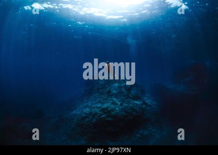 Unterwasser, Taucher, Tauchen, Felsriff, unter Wasser, Tauchen, Taucher, Tauchgänge, Tauchen, Tauchen Stockfoto