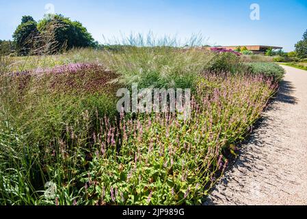 In der Nähe des Wasserbereichs der Moon Bridge Richtung Welcome Building in der RHS Bridgewater, Worsley, Salford, Greater Manchester. Stockfoto