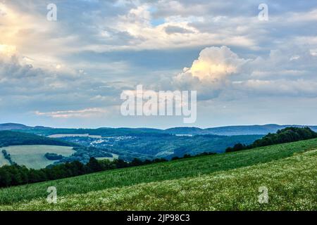 Ruhige Sommerlandschaft mit Wald. Wiese und Blumen im Vordergrund. Bunte Wolken. Blick auf das Tal. Natürlicher Hintergrund. Horna Suca, Slowakei Stockfoto