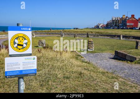 Rhyl, Großbritannien: 11. Aug 2022: Ein Schild informiert über die Entstehung einer Wildblumenwiese neben den stehenden Steinen von Eisteddfod Stockfoto