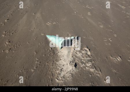 Troon, Ayrshire, Schottland, Großbritannien. Eine grüne Mülltonne, die im Sand auf der Buche vergraben wurde, nachdem sie desinteressiert oder weggewaschen wurde. Stockfoto