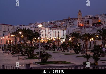 Vieste, Foggia, Italien 29. Juni 2021 Blick über die historische Altstadt auf der blauen Stunde in Vieste, Gargano, Apulien, Italien Stockfoto