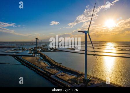 BINZHOU, CHINA - 15. AUGUST 2022 - das Foto vom 15. August 2022 zeigt einen Windpark in Binzhou, der ostchinesischen Provinz Shandong. Stockfoto