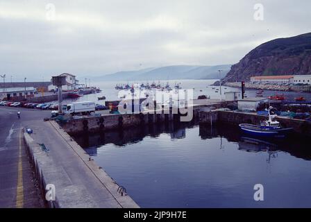 Hafen. Malpica, Provinz La Coruña, Galicien, Spanien. Stockfoto