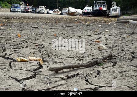 Düsseldorf, Deutschland. 16. August 2022. Die Vergnügungsboote liegen in einem trockenen Teil des Media Harbour. Nach wochenlanger Dürre haben die Wasserstände des Rheins historische Tiefstände erreicht. Quelle: Federico Gambarini/dpa/Alamy Live News Stockfoto