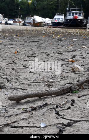 Düsseldorf, Deutschland. 16. August 2022. Die Vergnügungsboote liegen in einem trockenen Teil des Media Harbour. Nach wochenlanger Dürre haben die Wasserstände des Rheins historische Tiefstände erreicht. Quelle: Federico Gambarini/dpa/Alamy Live News Stockfoto